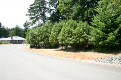 FAIRWINDS BUILDING LOT located between Parksville & Nanaimo!
